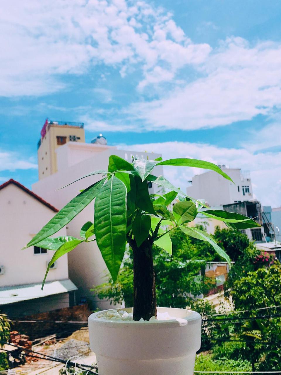 Huha Home - Da Nang Exterior photo